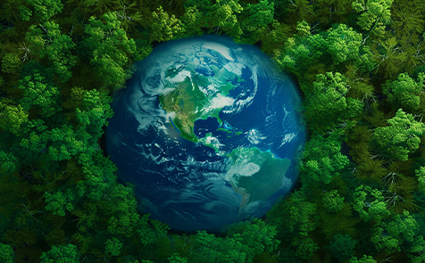 可持續(xù)發(fā)展